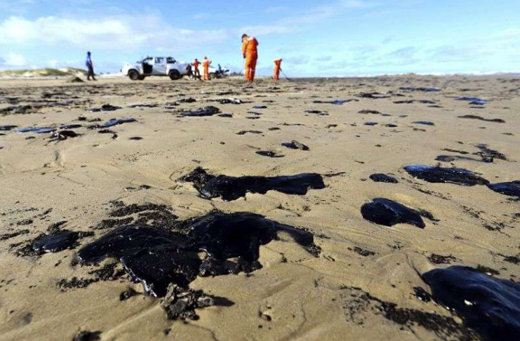 Leo Nas Praias Do Nordeste O Que Se Sabe At Agora