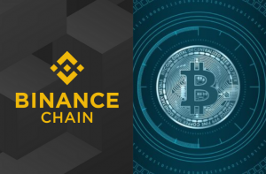 Binance Coin ou Bitcoins - Veja onde investir