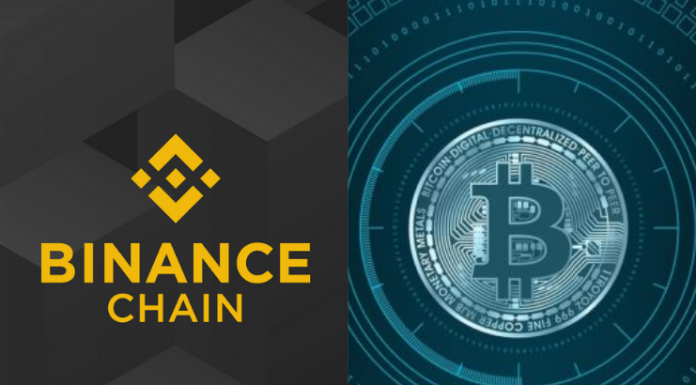 Binance Coin ou Bitcoins - Veja onde investir
