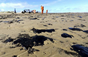 Óleo nas praias do Nordeste: o que se sabe até agora