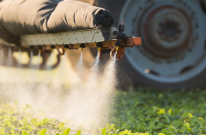 Quais alimentos têm um maior nível de agrotóxicos?