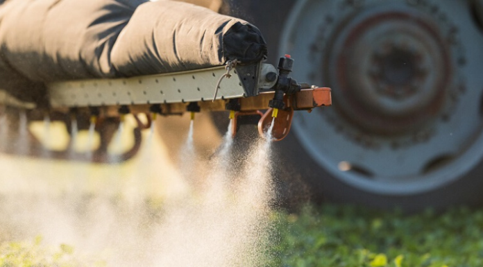 Quais alimentos têm um maior nível de agrotóxicos?