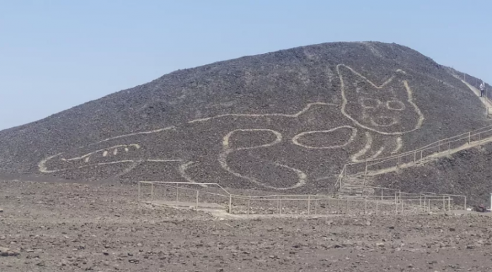 Novo geoglifo da Linha de Nazca descoberto: um gato de 36 metros de comprimento