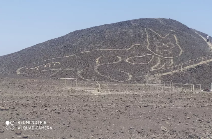 Novo geoglifo da Linha de Nazca descoberto: um gato de 36 metros de comprimento