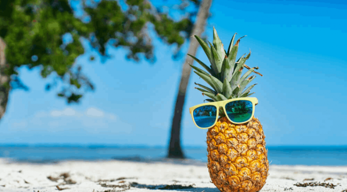 Descubra as coisas mais bizarras encontradas na praia