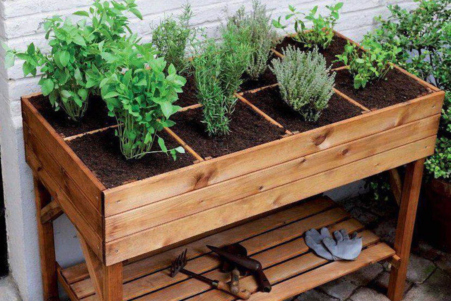 Veja como criar uma horta em casa