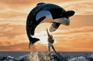 Conheça 7 animais que ficaram famosos em filmes e séries