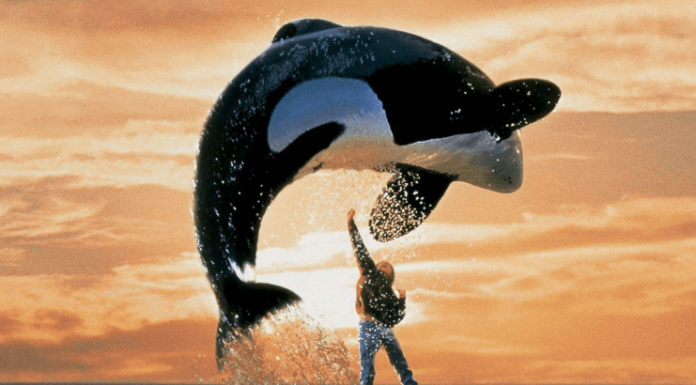 Conheça 7 animais que ficaram famosos em filmes e séries