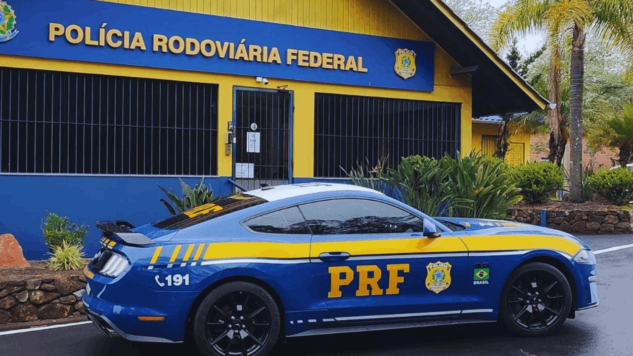 Concurso público - Carreira e estudos para cargos da Polícia Rodoviária Federal